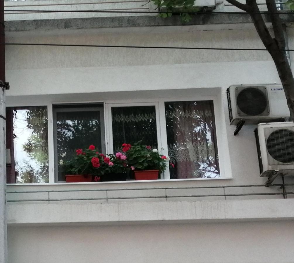 в сърцето на очаква прекрасен и просторен *